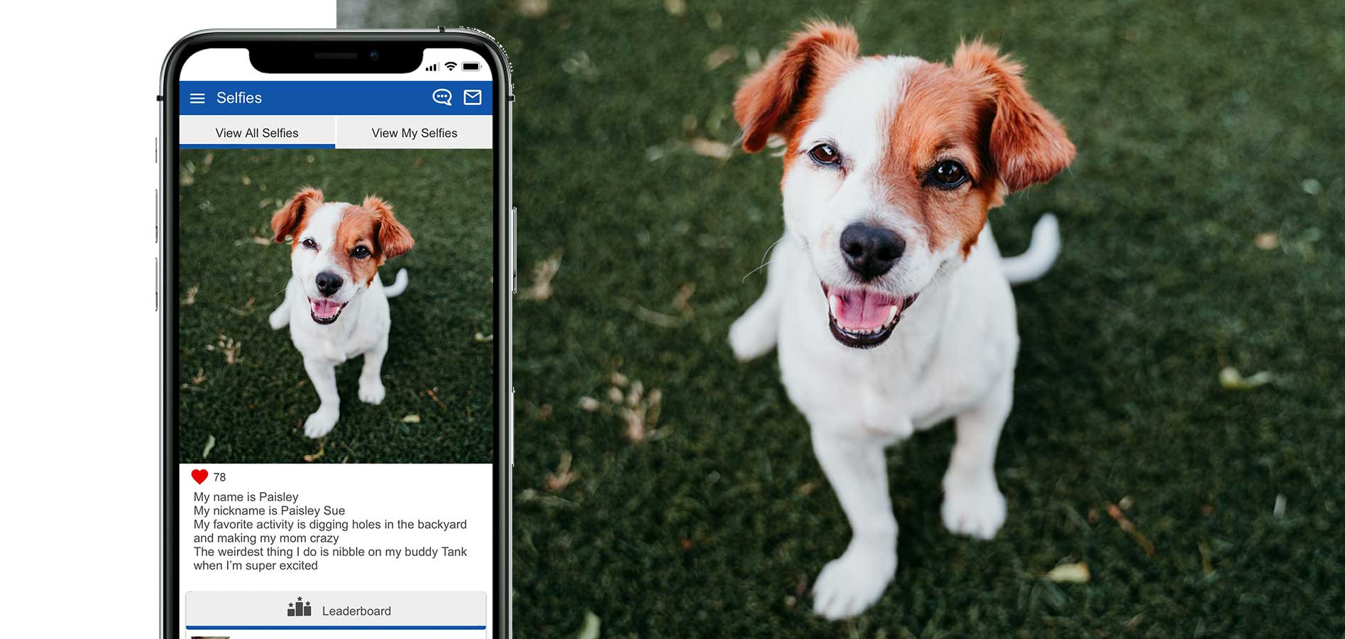 veterinary app pet selfie feature