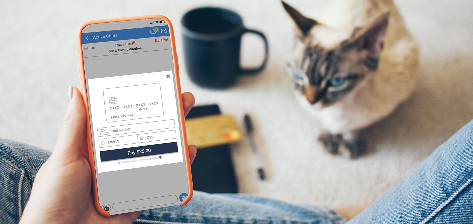 veterinary application virtual payment