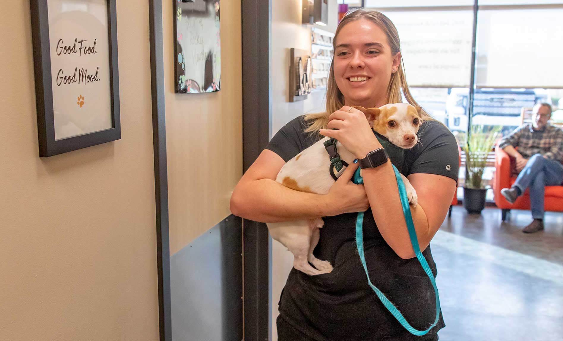 veterinary staff holding dog