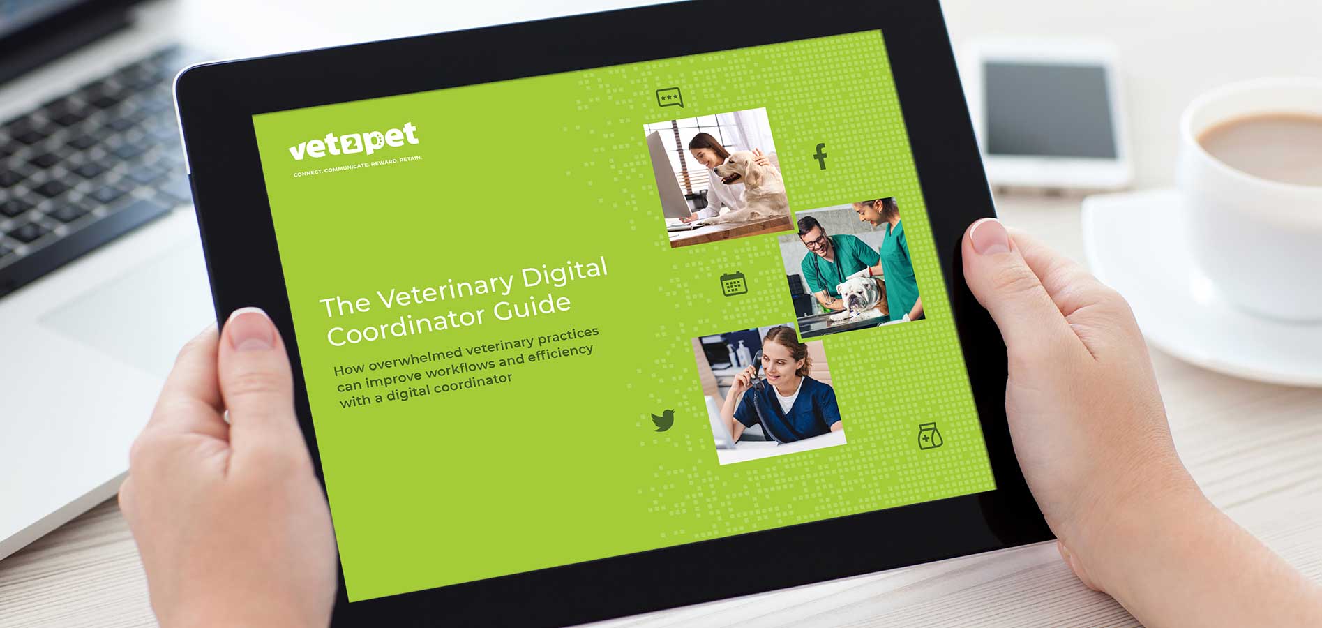 veterinary digital coordinator