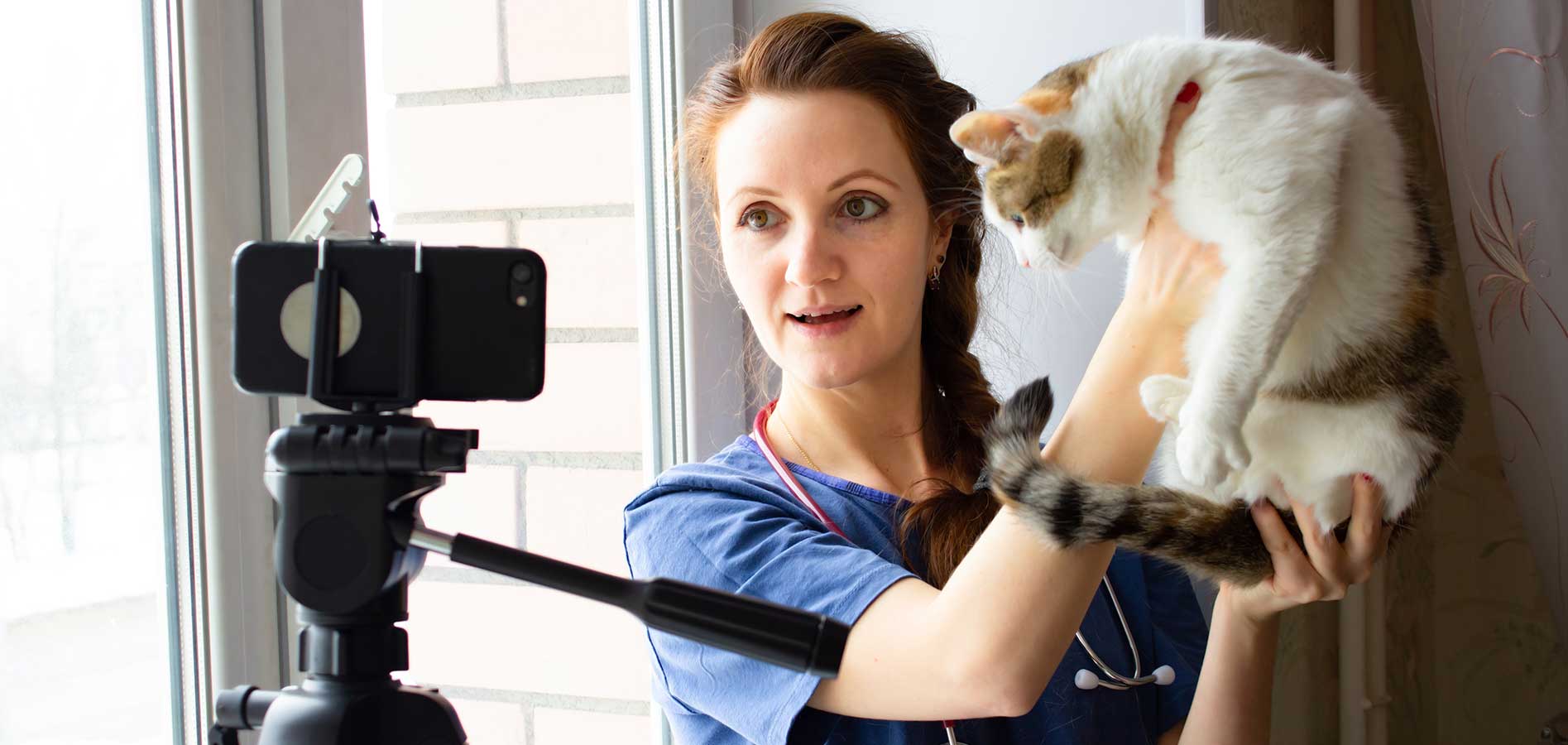 veterinarian filming video